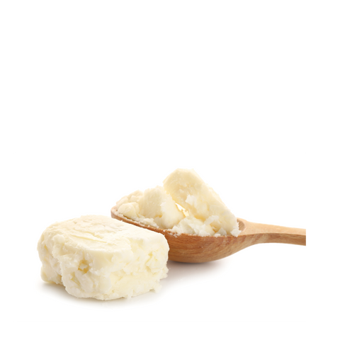 Pure White Shea Butter Filtered and Creamy 1 lb.